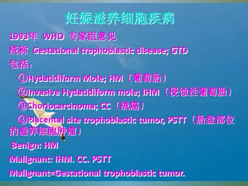 《滋养细胞肿瘤》ppt课件