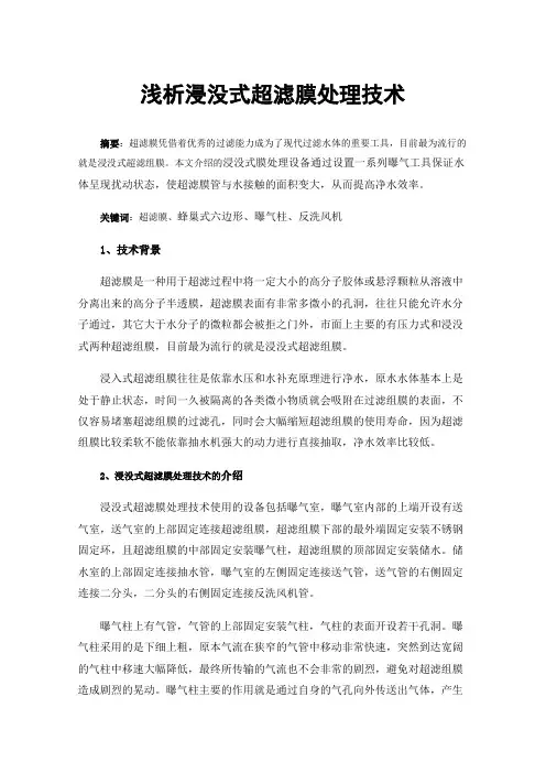 浅析浸没式超滤膜处理技术