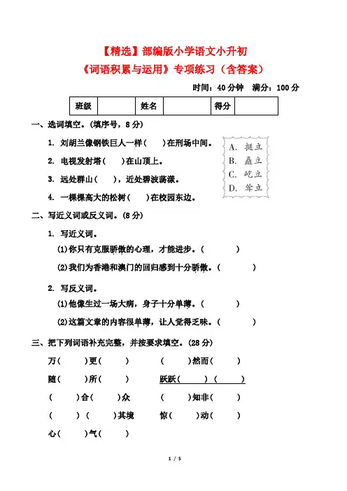 【精选】部编版小学语文小升初《词语积累与运用》专项练习(含答案)