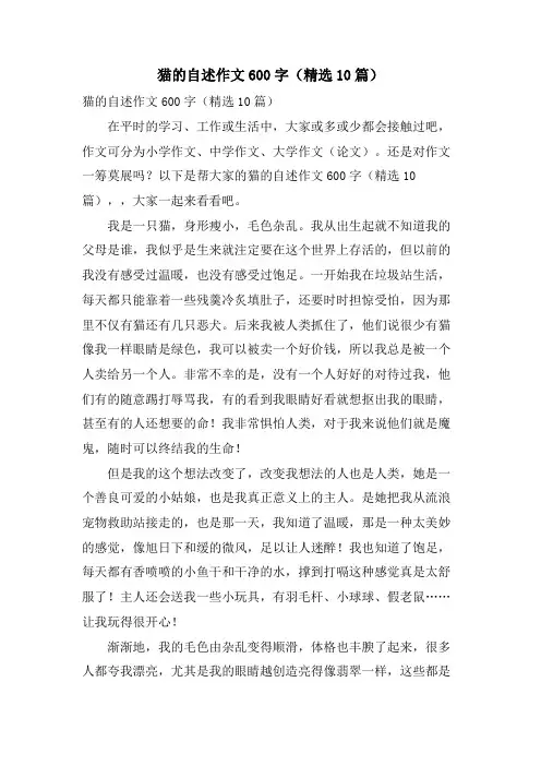 猫的自述作文600字(10篇)