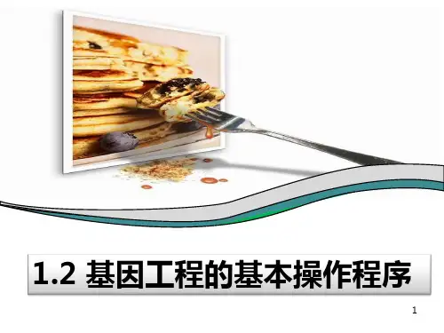 基因工程操作步骤PPT课件