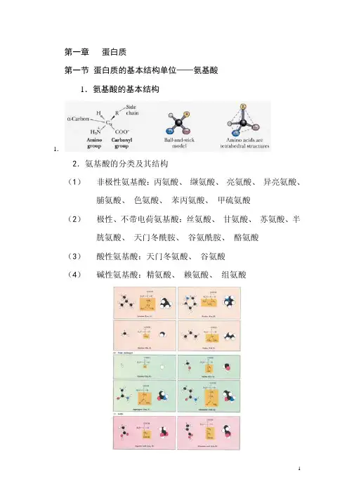 蛋白质的基本结构单位氨基酸