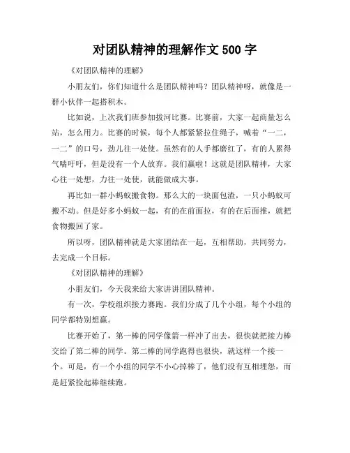 对团队精神的理解作文500字