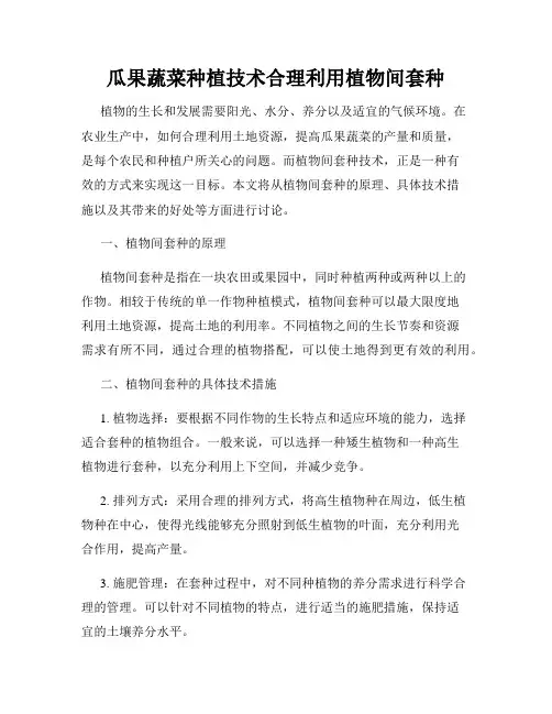 瓜果蔬菜种植技术合理利用植物间套种