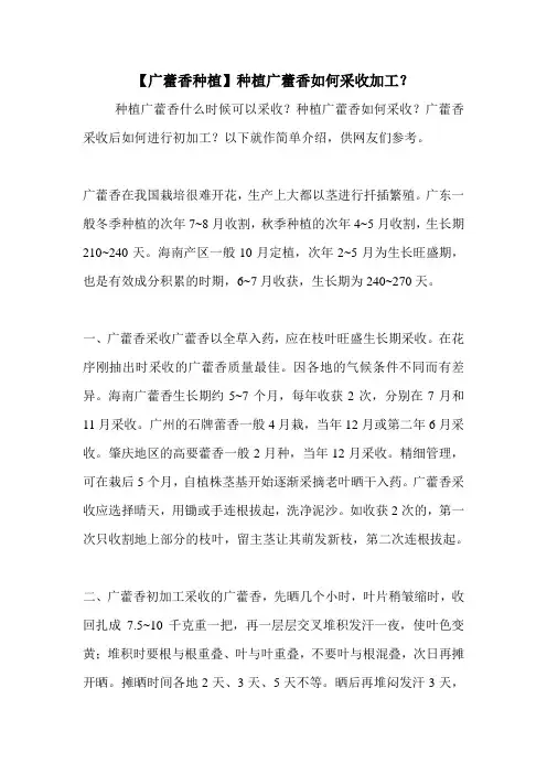 【广藿香种植】种植广藿香如何采收加工？