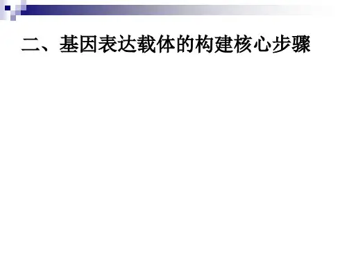 基因表达载体的构建