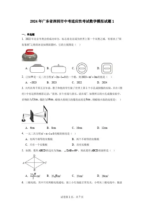 2024年广东省深圳市中考适应性考试数学模拟试题1