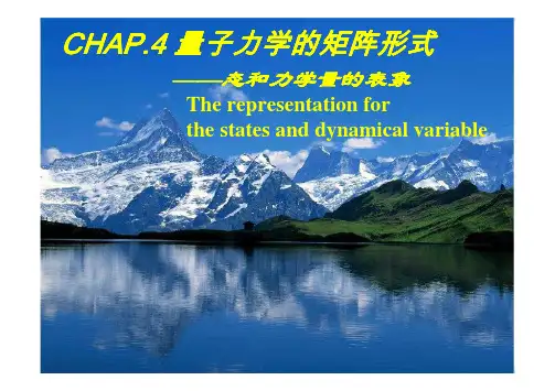 态的表象