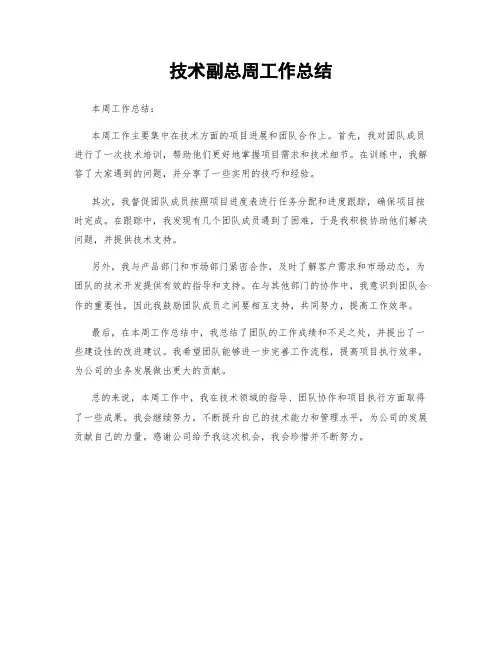 技术副总周工作总结