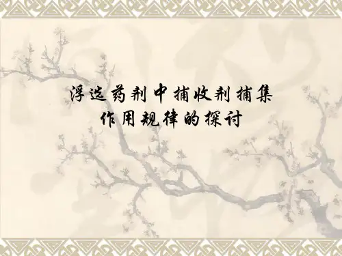 浮选药剂中捕收剂捕集作用规律性的探讨