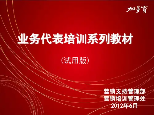 Y-04JDB推销技巧与实战演练