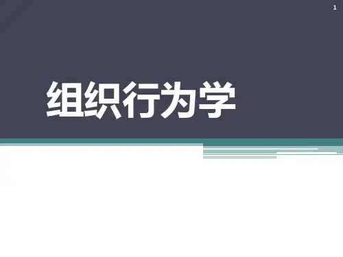 组织行为学入门ppt课件