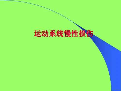 运动系统慢性损伤 PPT
