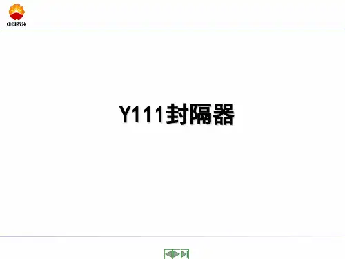 Y111