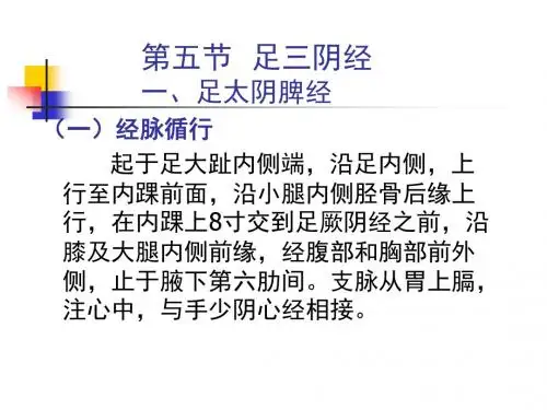 足太阴脾经