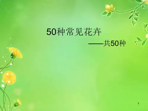 50种常见花卉ppt课件