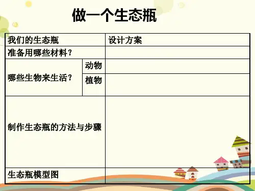 制作一个生态瓶-PPT课件