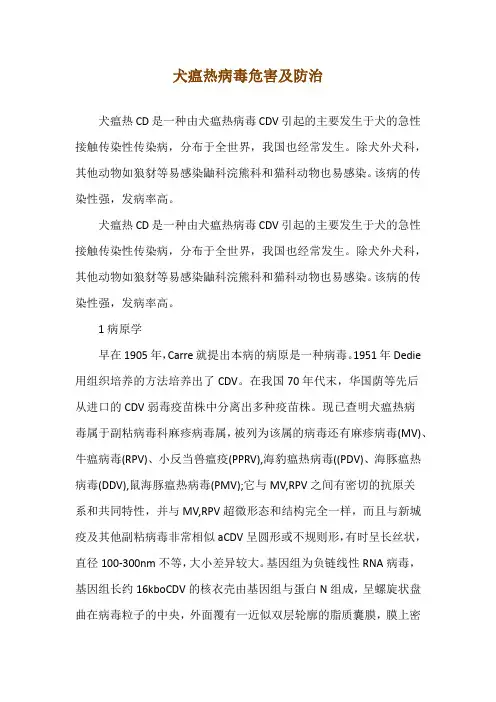 犬瘟热病毒危害及防治