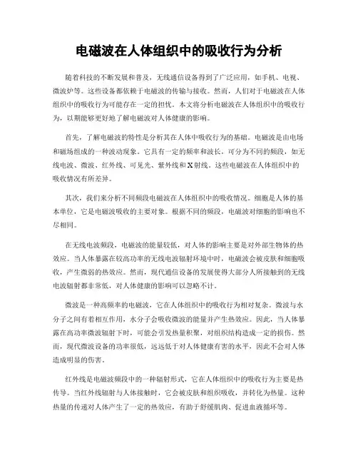 电磁波在人体组织中的吸收行为分析