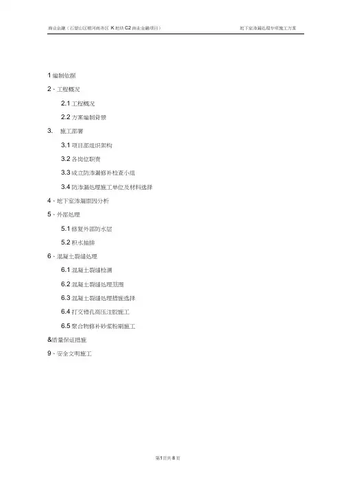 地下室渗漏处理专项施工方案.