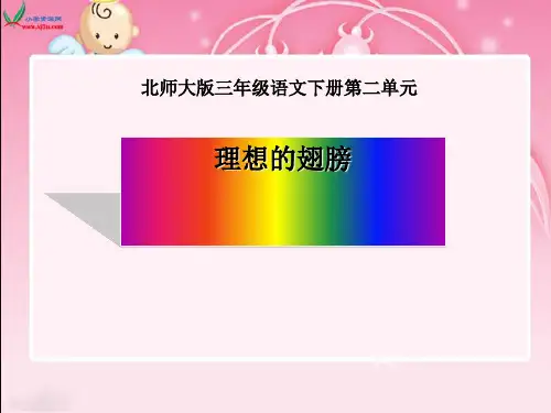 《理想的翅膀》PPT课件(上课用)