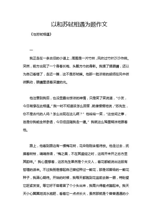 以和苏轼相遇为题作文