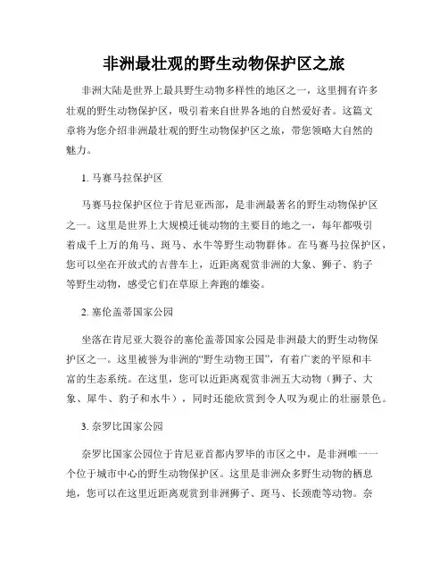 非洲最壮观的野生动物保护区之旅
