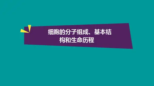 细胞的分子组成、基本结构