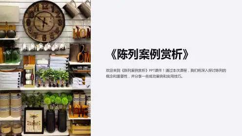 《陈列案例赏析》课件