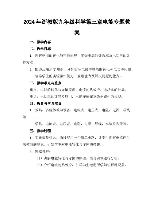 2024年浙教版九年级科学第三章电能专题教案