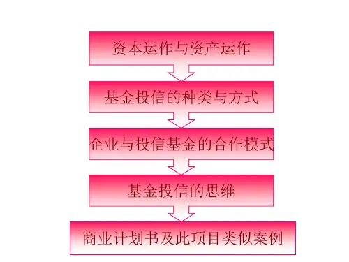 资本运作简介.ppt