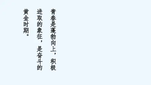 四川大学PPT