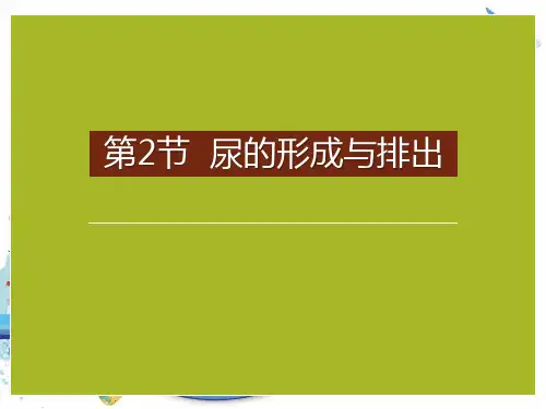 人教版《尿的形成与排出》[3]优秀PPT课件