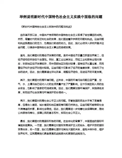 举例说明新时代中国特色社会主义实践中面临的问题