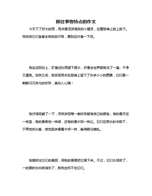 抓住事物特点的作文