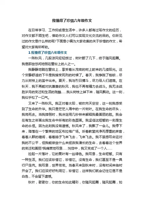 我懂得了珍惜六年级作文5篇