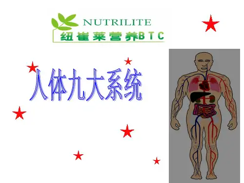 人体九大系统