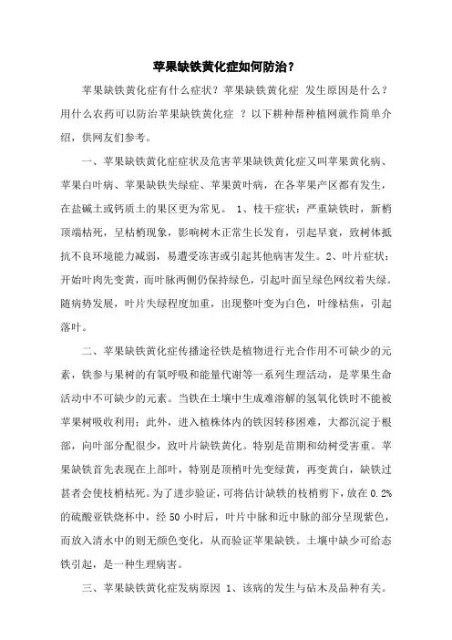 苹果缺铁黄化症如何防治？