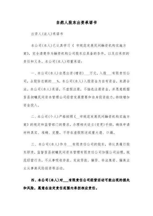 自然人股东出资承诺书（2篇）