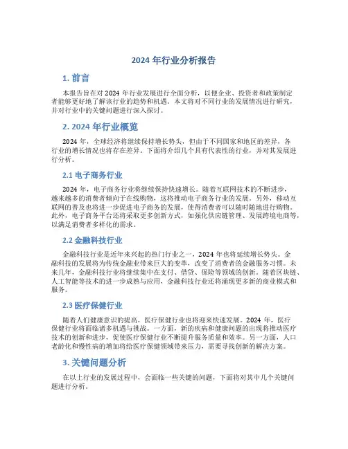 2024年行业分析报告