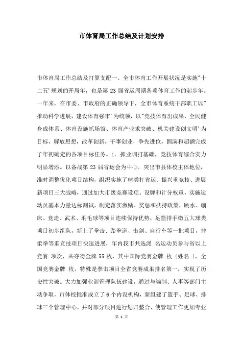 市体育局工作总结及计划安排