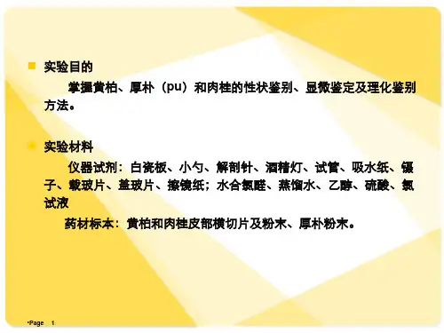实验五黄柏厚朴肉桂皮类生药鉴定参考PPT
