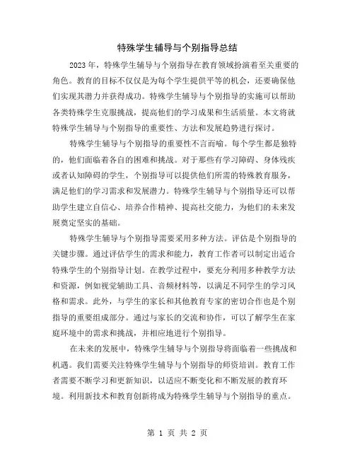 特殊学生辅导与个别指导总结