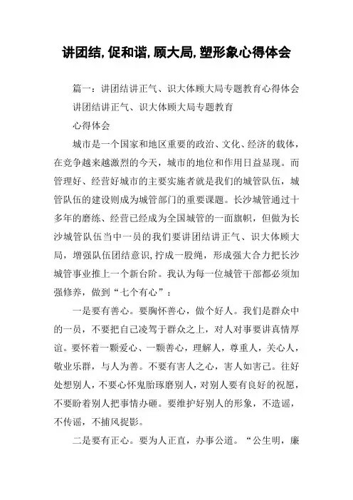 讲团结,促和谐,顾大局,塑形象心得体会