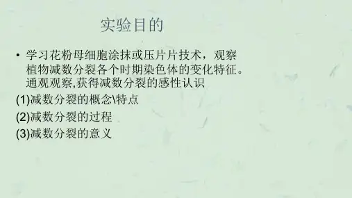 实验一植物细胞减数分裂课件