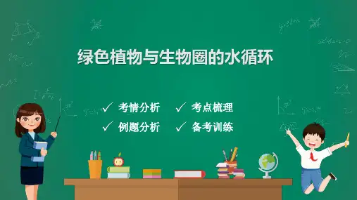 中考生物复习课件：绿色植物与生物圈的水循环