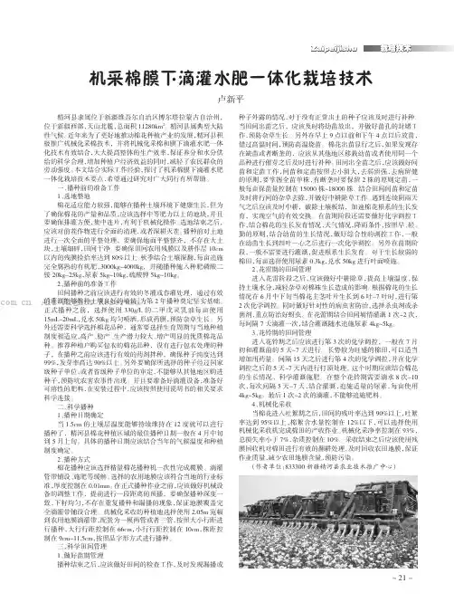 机采棉膜下滴灌水肥一体化栽培技术