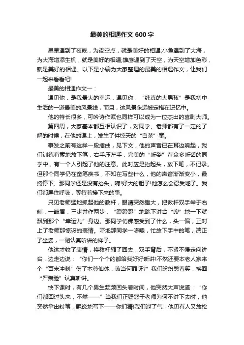 最美的相遇作文600字