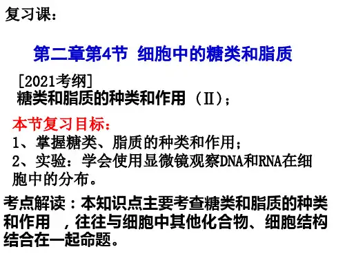高三生物一轮复习课件细胞中的糖类和脂质