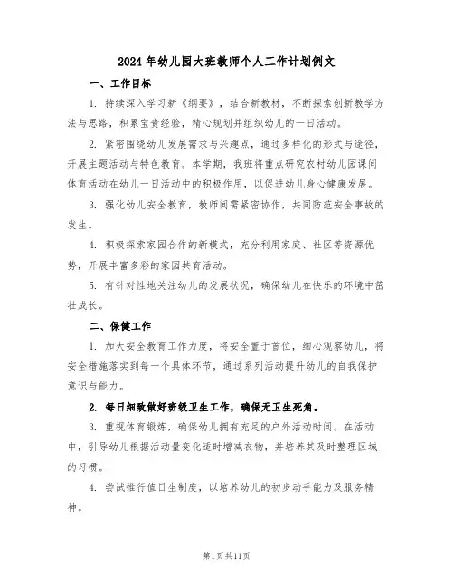 2024年幼儿园大班教师个人工作计划例文（五篇）